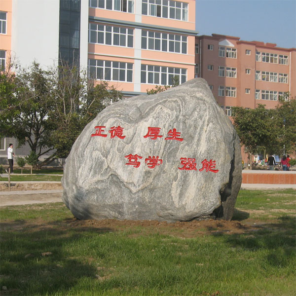 �����N����У2016��������