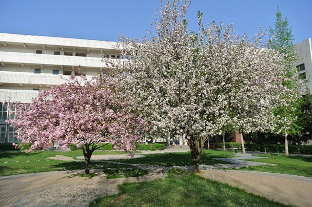 ʯ���f���l(xi��ng)���O�WУ:ʡ�����c�Ќ�