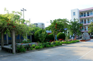 ���������W(xu��)У