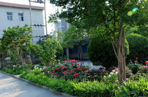 ���������W(xu��)У