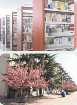 �ӱ���(j��ng)������WУ