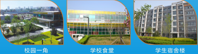 ����ƽ�������W(xu��)У2017�W(xu��)�M���٣�