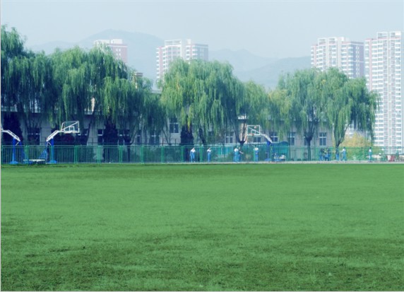 �е�ͨ�_(d��)�Ќ��W(xu��)У����Щ�k�W(xu��)��(y��u)�ݣ�