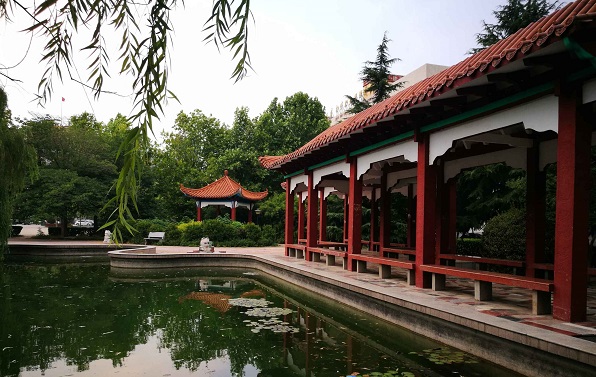 ���շ���(w��)���I(y��)ǰ����ô����