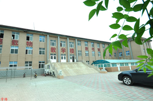 ���݇��d�I(y��)���g(sh��)�W(xu��)�����V������(b��o)���֪����Щ��