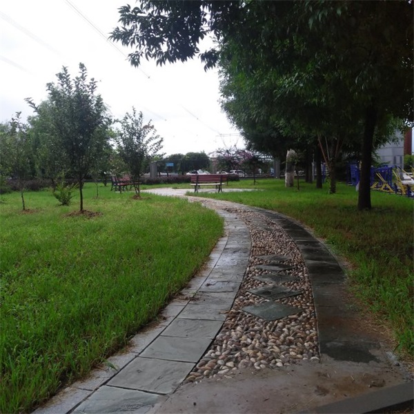 ä¿å&reg;äo�訦ææ��å-|æ&nbsp;¡ï¼åäo¬æ&nbsp;¡åoï¼