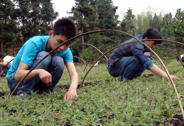 �����A�м����W(xu��)У