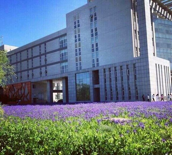 ʲô��У�������У�������ʲô��(y��u)�݆᣿