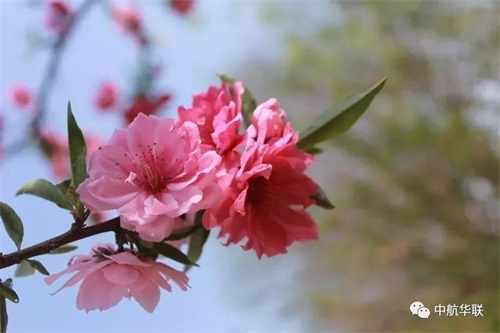 �����F(xi��n)���w���W(xu��)Ժ�����ճ˄�(w��)�W(xu��)Ժ18������1���c�������