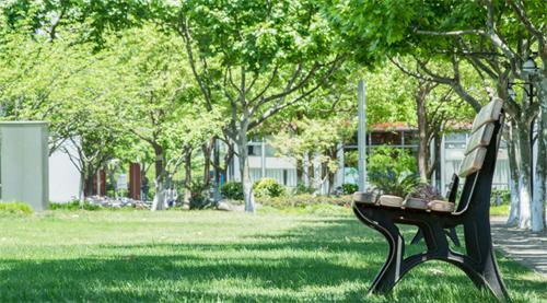 ʯ���f�����߼��I(y��)�ЌW��ô����