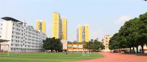 ʯ���f�н�ͨ�\(y��n)ݔ�W(xu��)У���_�O(sh��)����Щ���I(y��)��