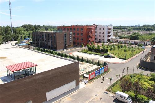 ��㑶������ò���������Щ��(y��u)��(sh��)��