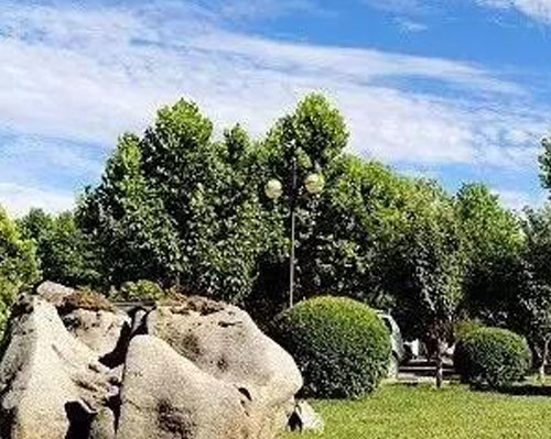 ʯ���f�����I(y��)�W(xu��)Ժ����W(xu��)Ժ��ô��������Щ���I(y��)��