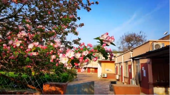 ��ů���_������н������̌W(xu��)У����؁�