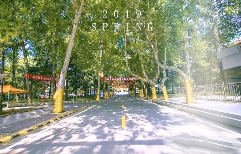 �������¼����WԺ��ô�����WУ�Æ᣿