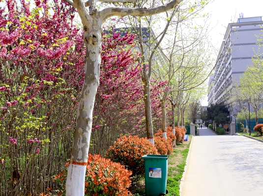 �����F(xi��n)������I(y��)�W(xu��)Уÿ�����˶�����