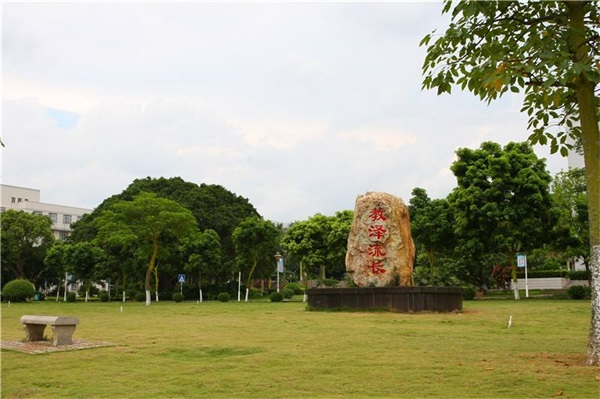 �׃��������I(y��)�аl(f��)չǰ������