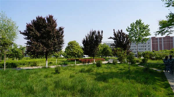 ����������I(y��)�����WԺ�h(hu��n)���Æ���