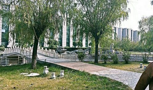 ����ƽ�������W(xu��)У�������W(xu��)�����͘I(y��)��r��ô�ӣ�