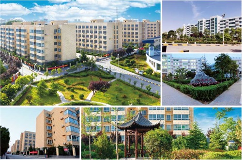 �������¼����W(xu��)Ժ2021����������