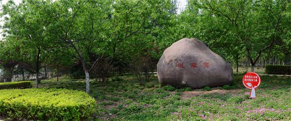 ��(j��)Դ�I(y��)���g(sh��)�W(xu��)Ժ���ԌW(xu��)���ކ���