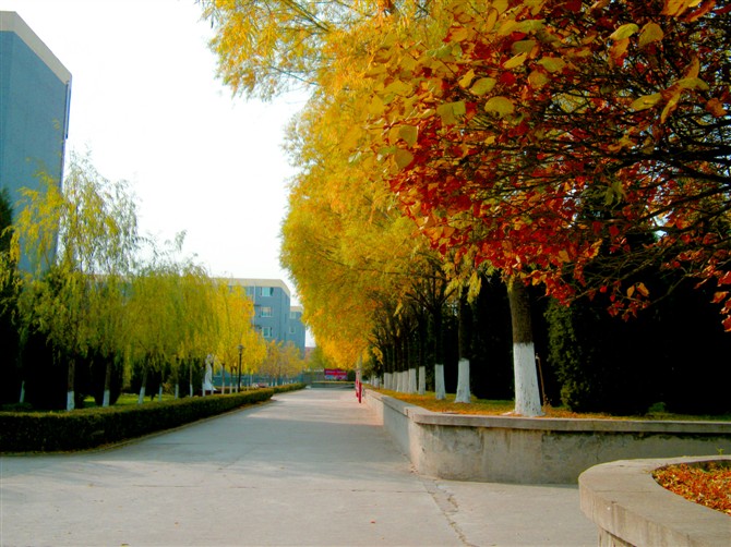 �����F(xi��n)���w���W(xu��)Ժ�����ճ˄�(w��)�W(xu��)Ժֵ�È�(b��o)������