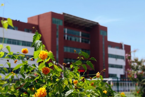 ʯ���f��(j��ng)���I(y��)�W(xu��)ԺУ�@�h(hu��n)����ô�ӣ�