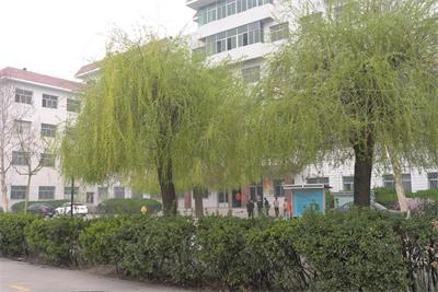 ���������еȌ��I(y��)�W(xu��)УӋ��C��(y��ng)�ü��g(sh��)�ò����� 