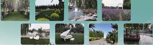 ���˽�W(w��ng)�j(lu��)�I�N�ă�(y��u)�݆᣿