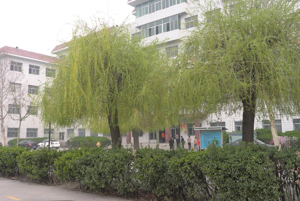 ���������еȌ��I(y��)�WУ�_�O����Щ���I(y��)��