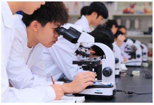 �V���Ƽ����Q(m��o)�߼������WУ��������