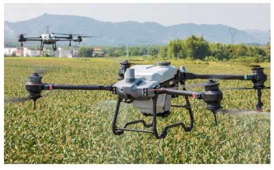 �V���Ƽ����Q(m��o)�߼������WУ��������