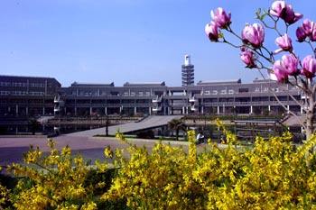 �W(xu��)��(x��)�W(w��ng)վ���O(sh��)�c���팣(zhu��n)�I(y��)����Щ�l(f��)չ������