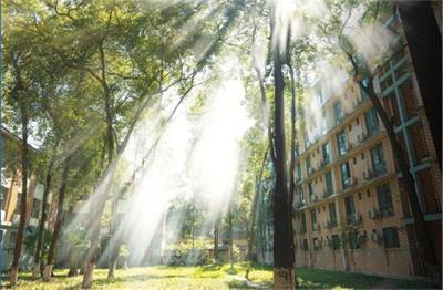 �Ͼ����I(y��)��W(xu��)�ĺ�����I(y��)��ʲô��(y��u)�݆��� 