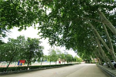 �Ї����һ�ϼ����W(xu��)Ժ����ʲô���I(y��)�� 