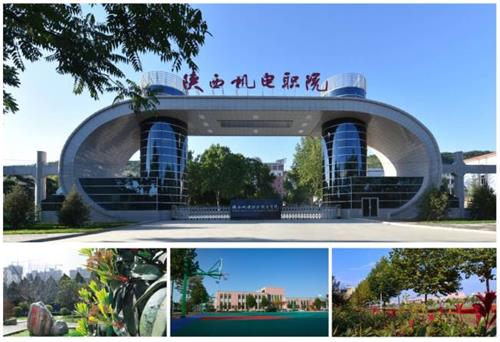 ����C��I(y��)���g�WԺ��������