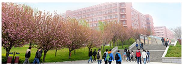 �������̴�W(xu��)�^�m(x��)�����W(xu��)Ժ����Ҏ(gu��)�W(xu��)У�����W(xu��)У�k�W(xu��)Ҏ(gu��)ģ�����