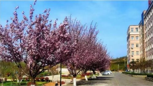 ��������Ϣ�I(y��)���g(sh��)�W(xu��)Ժ��������