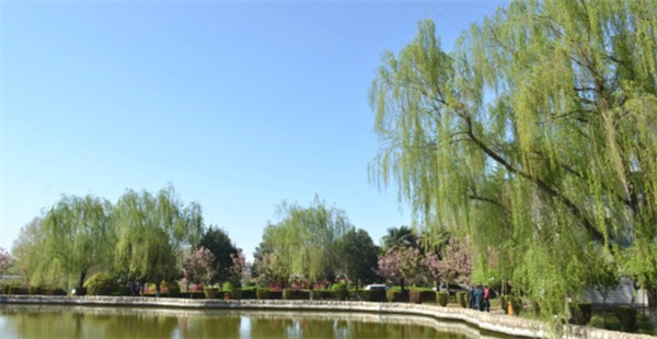 ���ͨ�ż����W(xu��)Ժ��У�����I(y��)ȥ�������