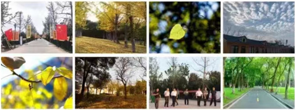 �_�����S�ӿƼ��еȌ��I(y��)�W(xu��)У�����A(y��)���Æ���