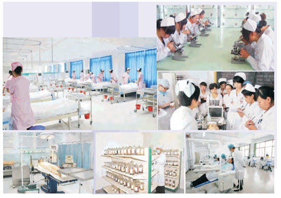 ����������ԌW(xu��)��(x��)�o(h��)�팣(zhu��n)�I(y��)��