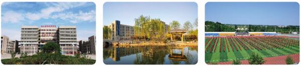 ��ɽ�ڄ�(d��ng)�����W(xu��)Ժ�к��Ӽӹ����I(y��)���� 